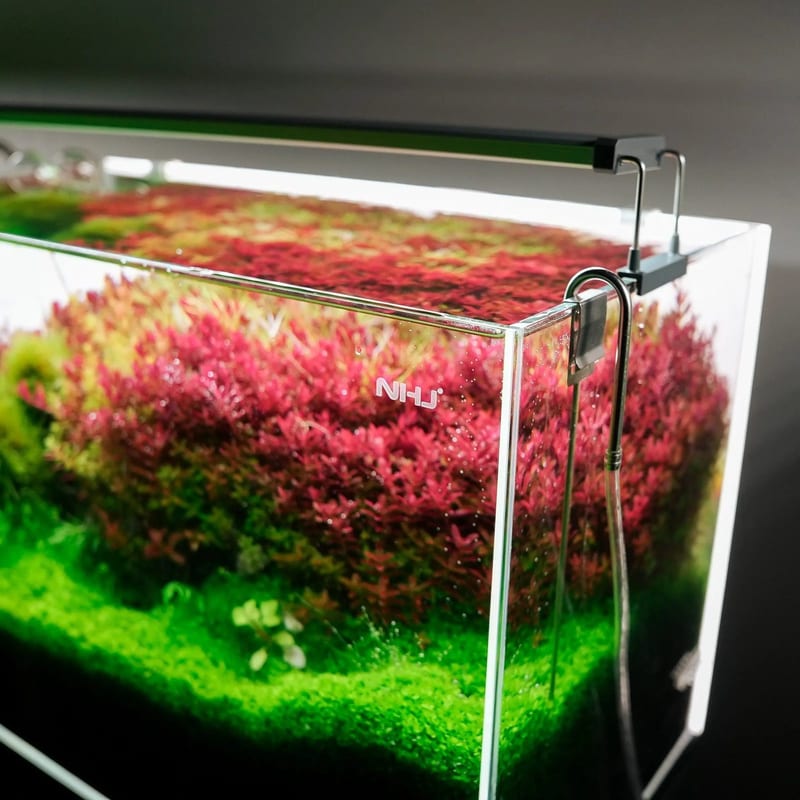 Chihiros B Series 30 LED Light — photo 4