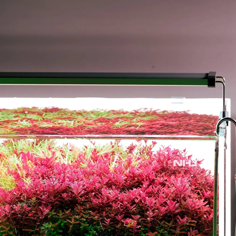 Chihiros B Series 30 LED Light — photo 5