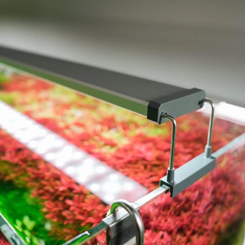 Chihiros B Series 80 LED Light — photo 6