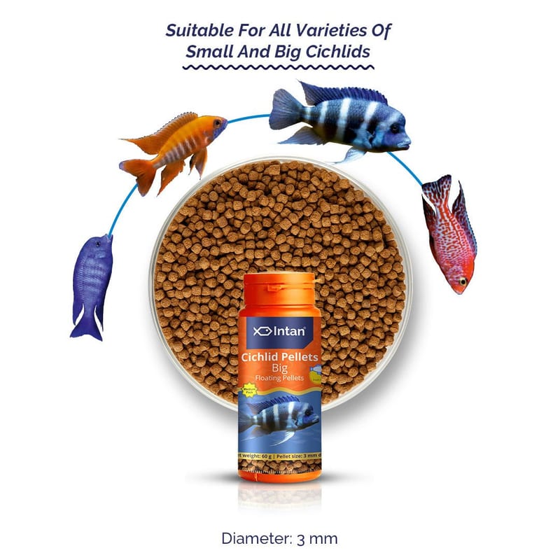 Intan Cichlid Pellets - Big 1kg — photo 3