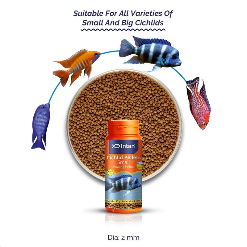 Intan Cichlid Pellets - Small 145g — photo 2