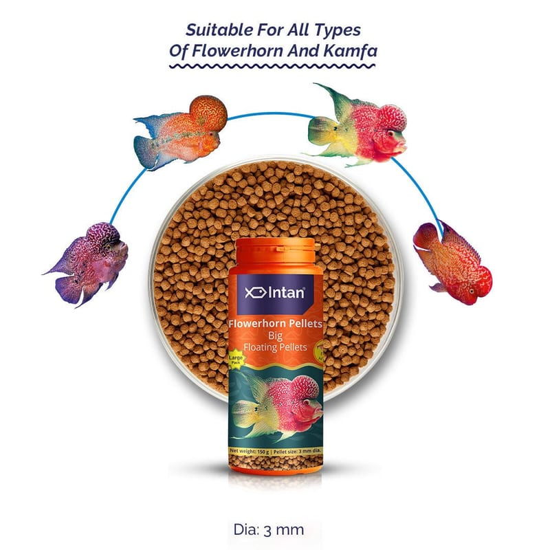 Intan Flowerhorn Pellets - Big 150g — photo 2