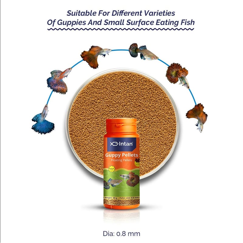 Intan Guppy Pellets 1kg — photo 3