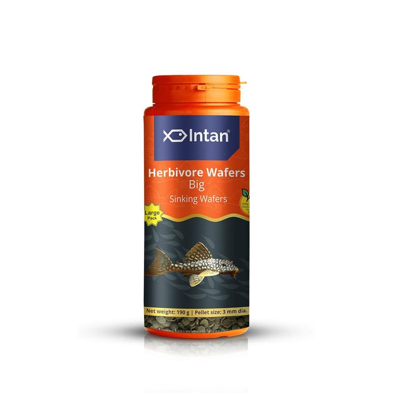 Intan Herbivore Wafers - Big 40g — photo 6