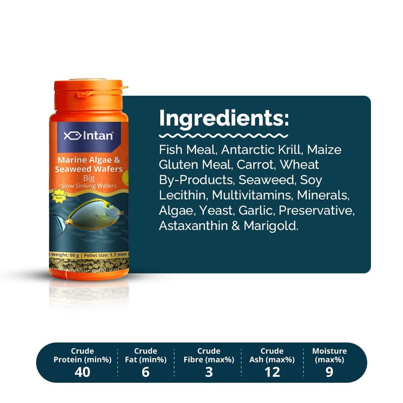 Intan Marine Algae & Seaweed Wafers - Big 60g — photo 5
