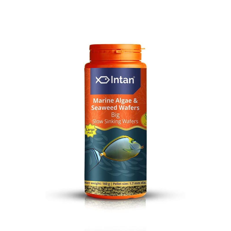 Intan Marine Algae & Seaweed Wafers - Big 160g