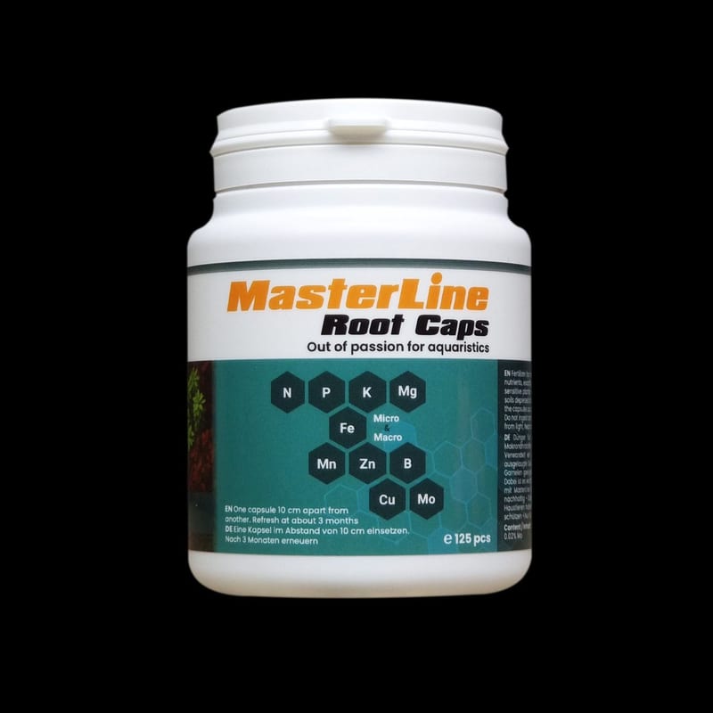 MasterLine Root Caps 60 pcs