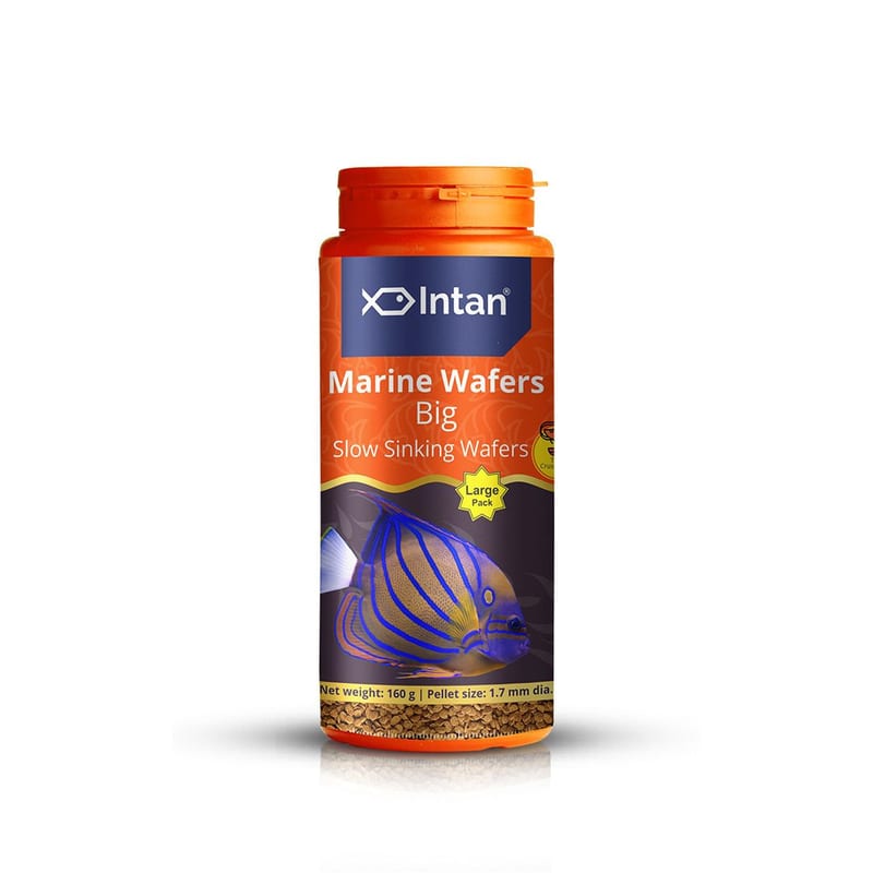 Intan Marine Wafers - Big 1kg — photo 6