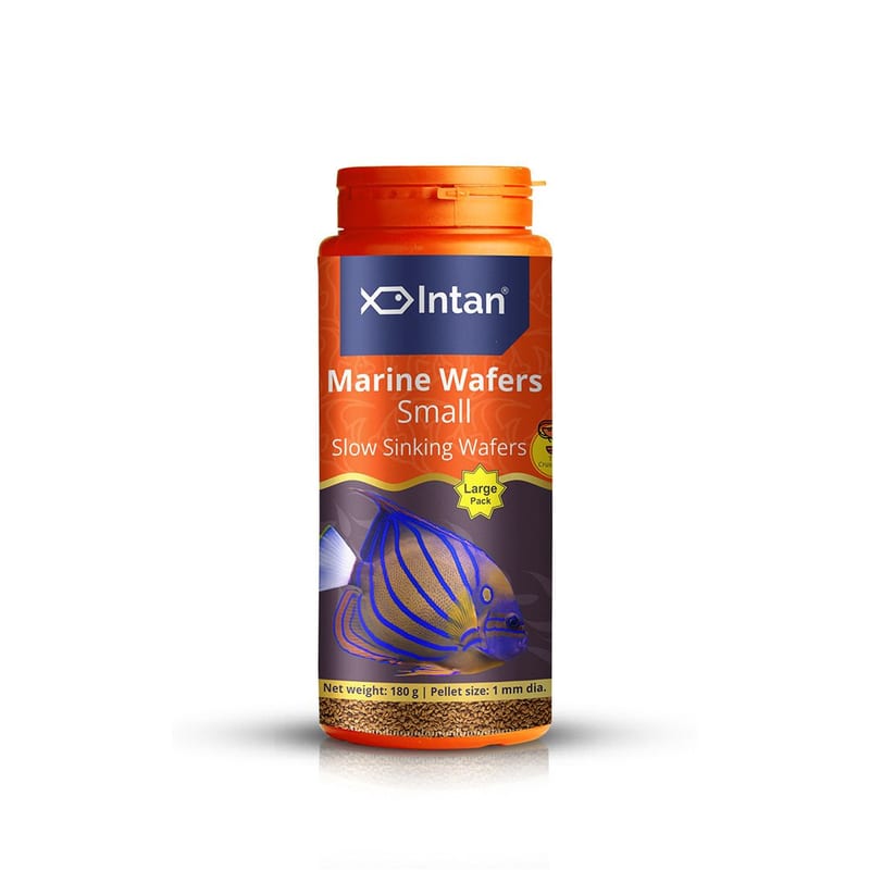 Intan Marine Wafers - Small 1kg — photo 6