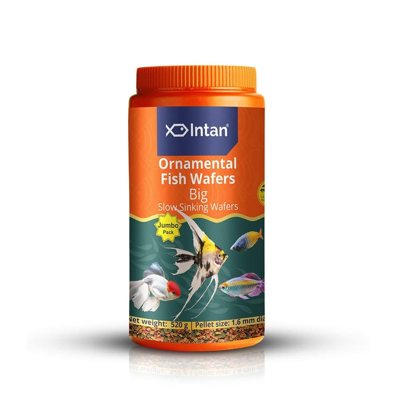 Intan Ornamental Fish Wafers - Big 520g