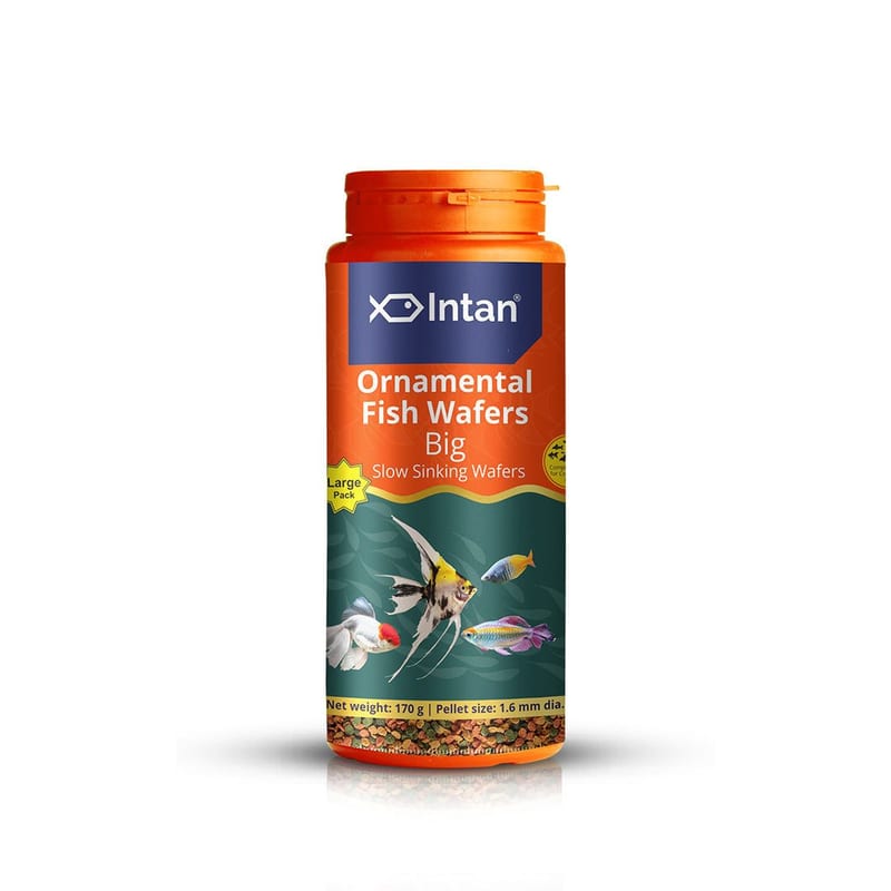 Intan Ornamental Fish Wafers - Big 1kg — photo 7