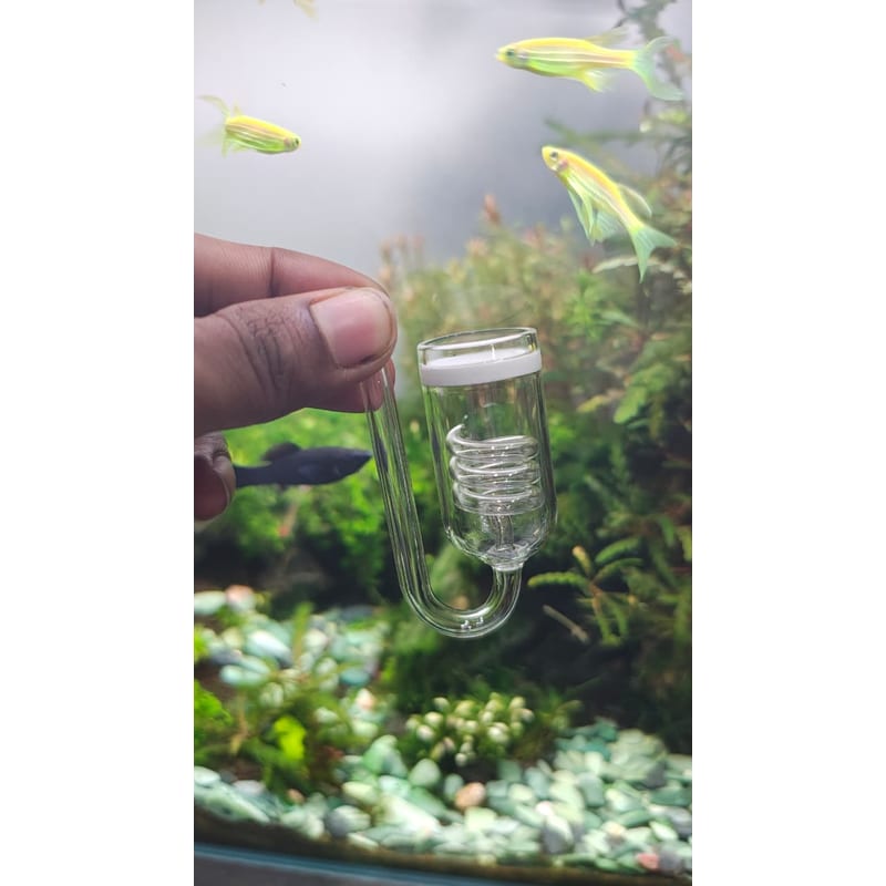 Professional CO2 Spiral Diffuser Large