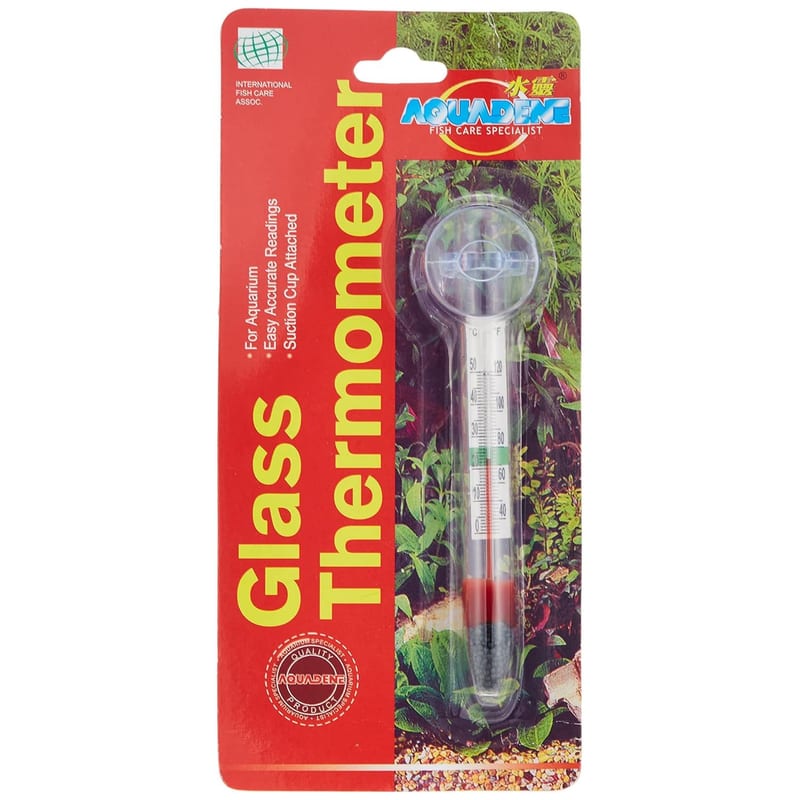 Glass Thermometer