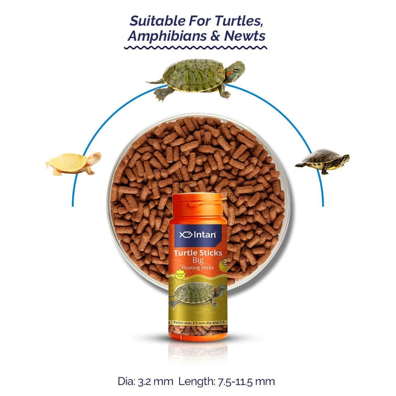 Intan Turtle Sticks - Big 115g — photo 3