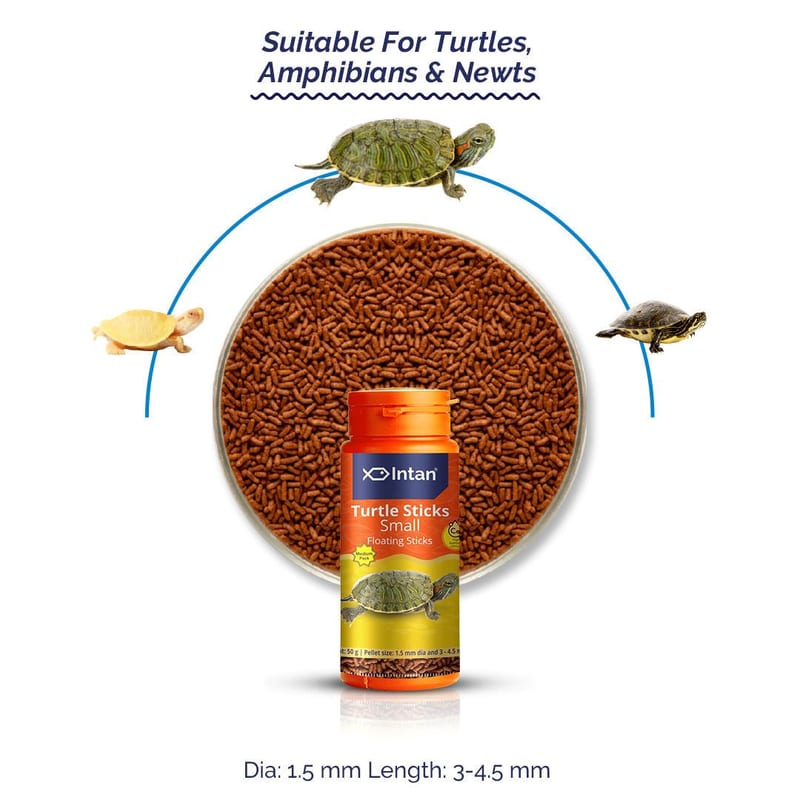 Intan Turtle Sticks - Small 1kg — photo 3