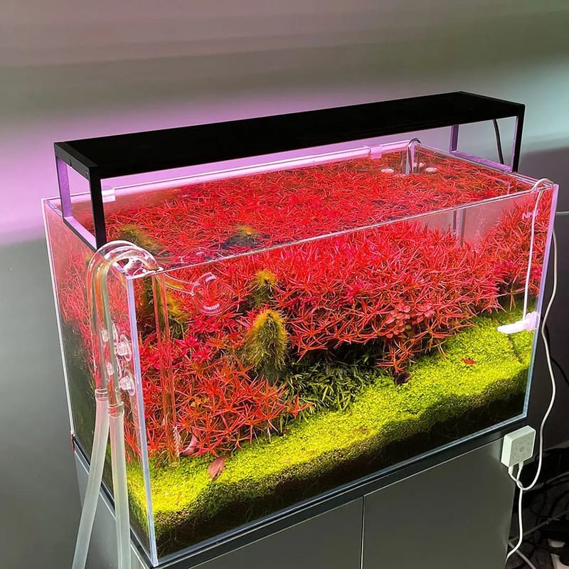 Chihiros WRGB II Slim 120 cm LED Light — 120-140 cm, 90 W, 4800 lm — photo 7