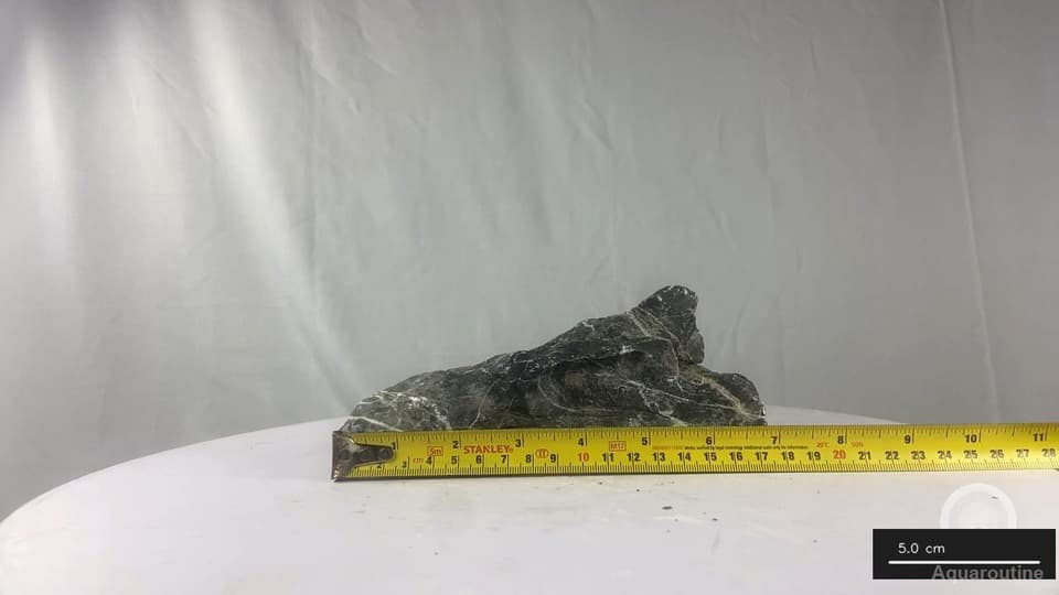 Seiryu Stone RSY098