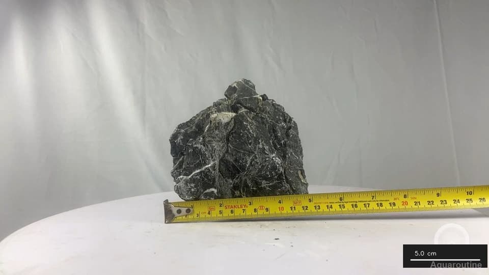 Seiryu Stone RSY099