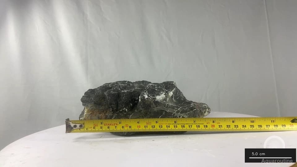 Seiryu Stone RSY100