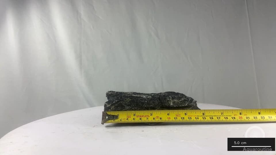 Seiryu Stone RSY101