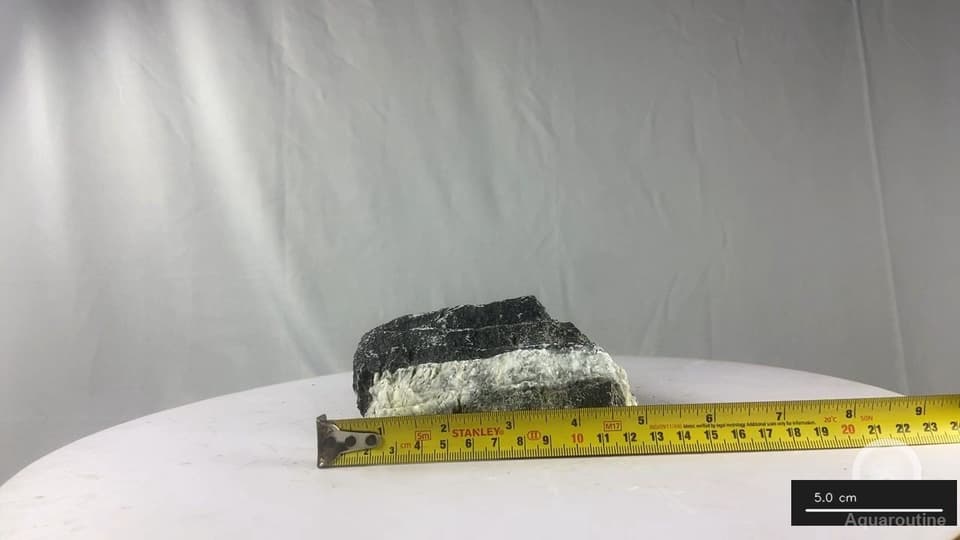 Seiryu Stone RSY102