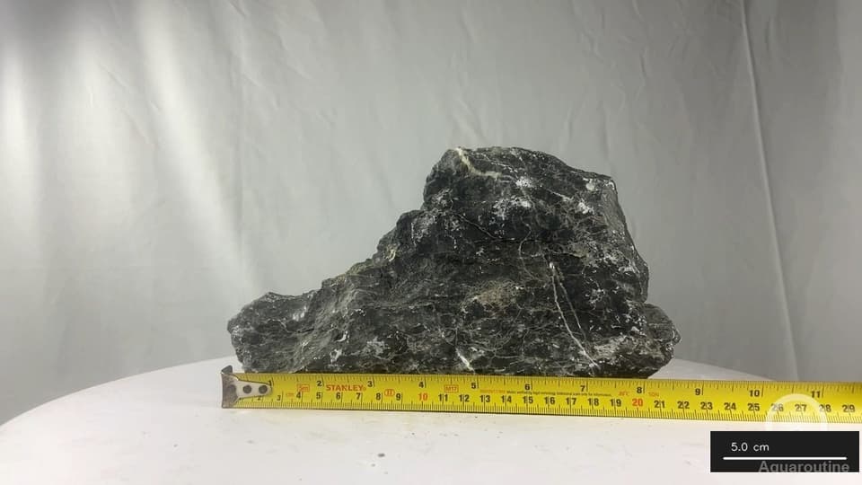 Seiryu Stone RSY112