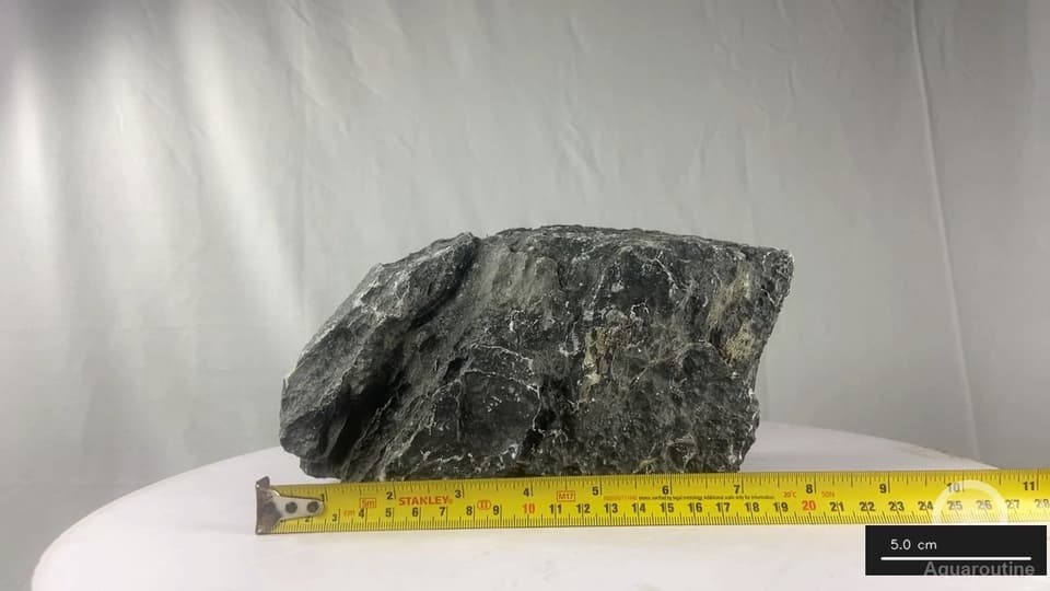 Seiryu Stone RSY113